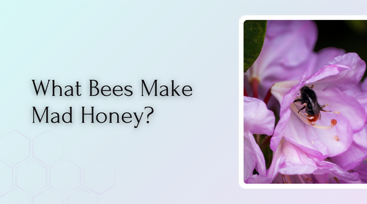 What Bees Make Mad Honey?
