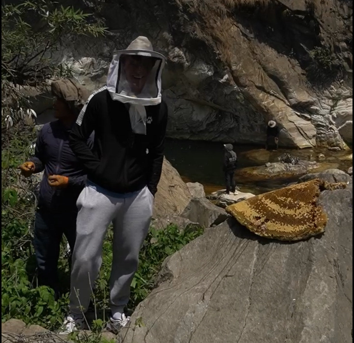 Raw Mad Honey | PREORDER AT 50% OFF